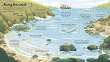 Load image into Gallery viewer, Look Inside Seas and Oceans - Megan Cullis