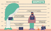 Load image into Gallery viewer, All About The Brain - Gabriel Dabscheck