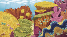 Load image into Gallery viewer, Look Inside Seas and Oceans - Megan Cullis
