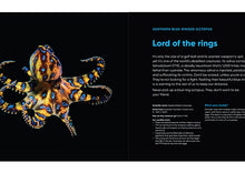 Load image into Gallery viewer, Octopuses: Underwater Wonders - Sheree Maris