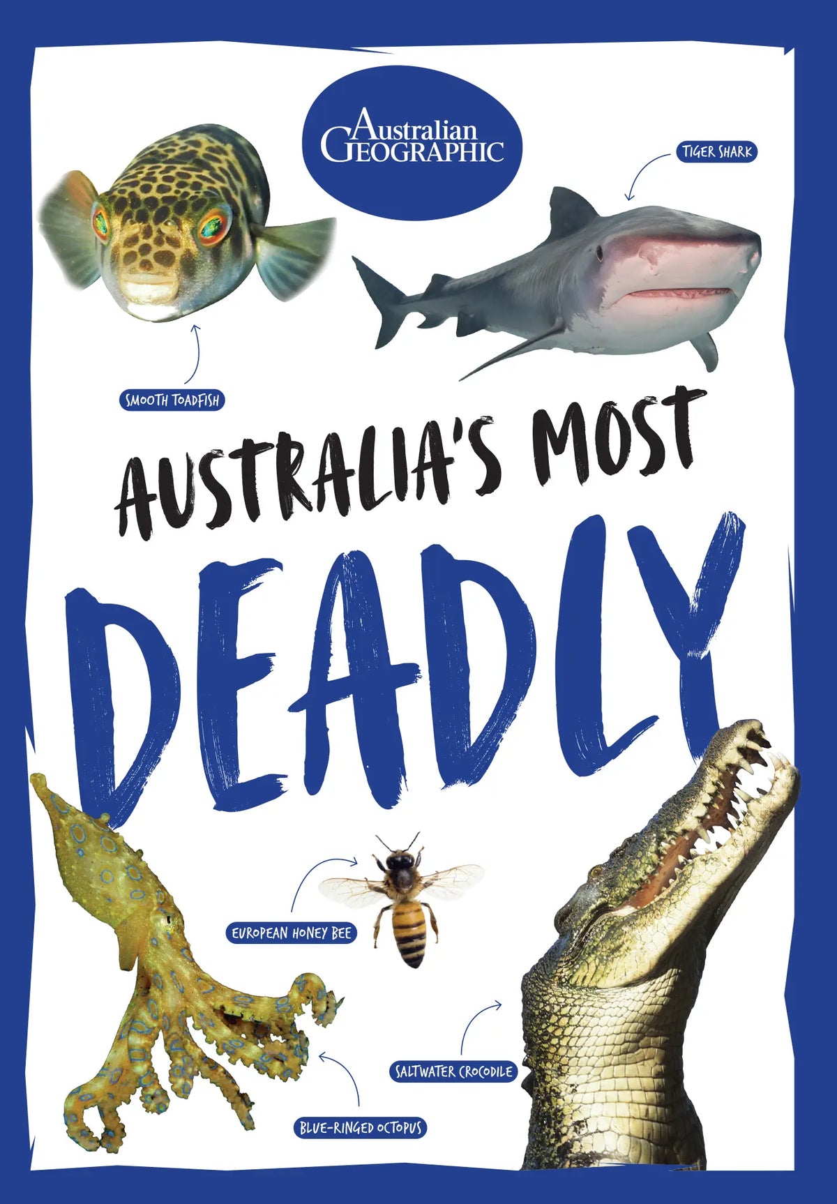 Australia's Most Deadly - Australian Geographic
