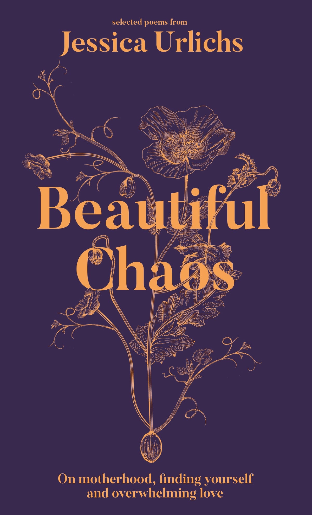 Beautiful Chaos - Jessica Urlichs