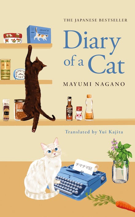 Diary of a Cat - Mayumi Nagano