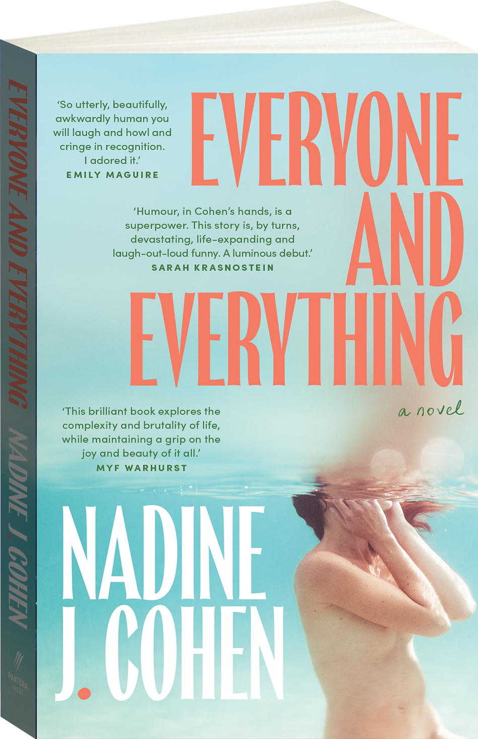 Everyone and Everything - Nadine J. Cohen