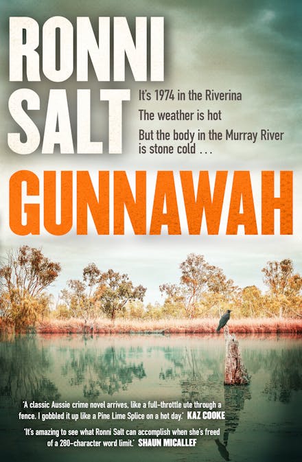 Gunnawah - Ronni Salt