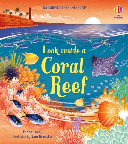 Look Inside A Coral Reef - Minna Lacey