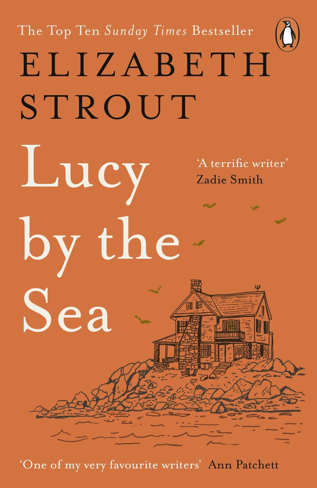 Lucy By the Sea - Elizabeth Strout