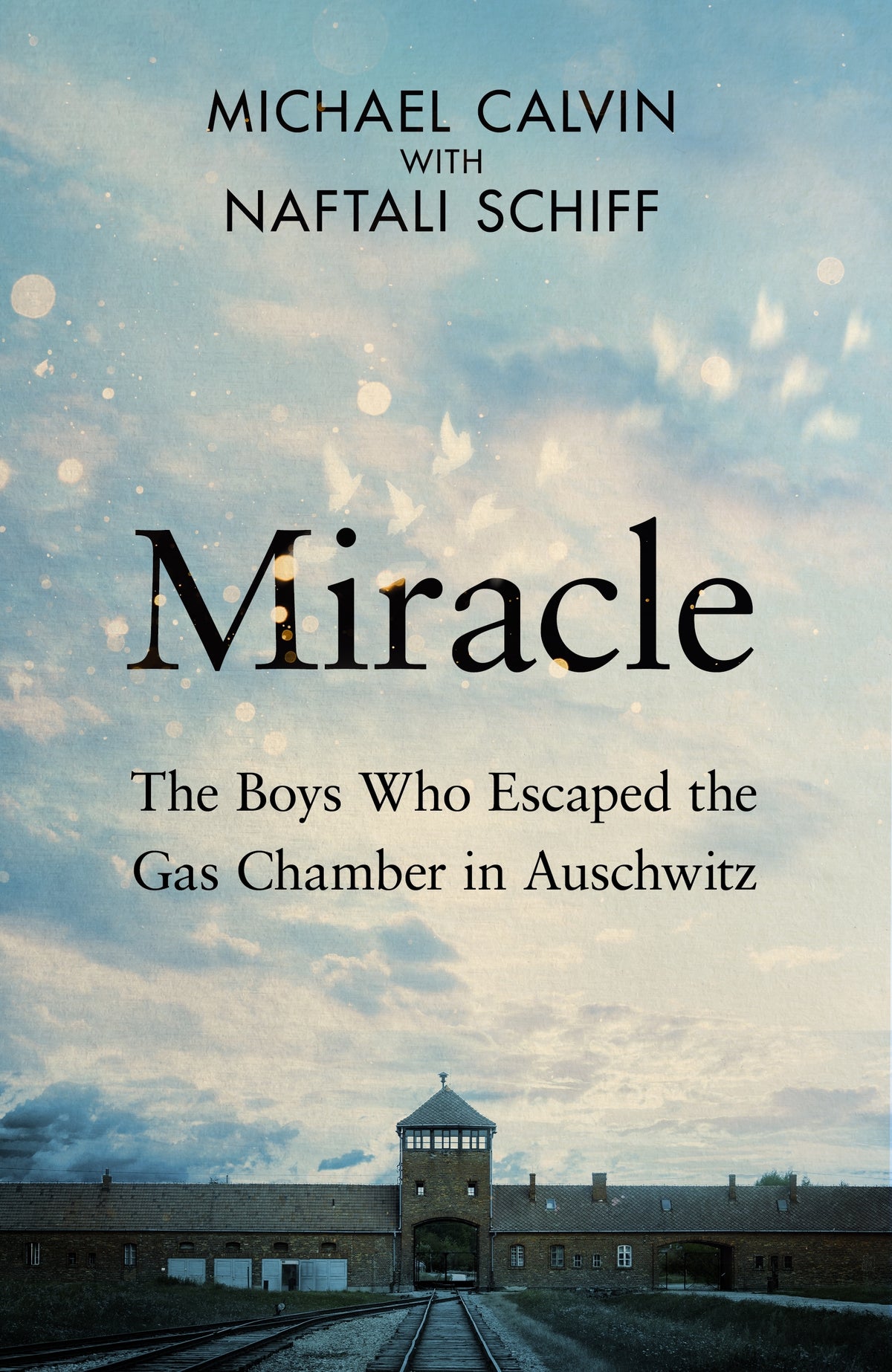 Miracle - Michael Calvin with Naftali Schiff