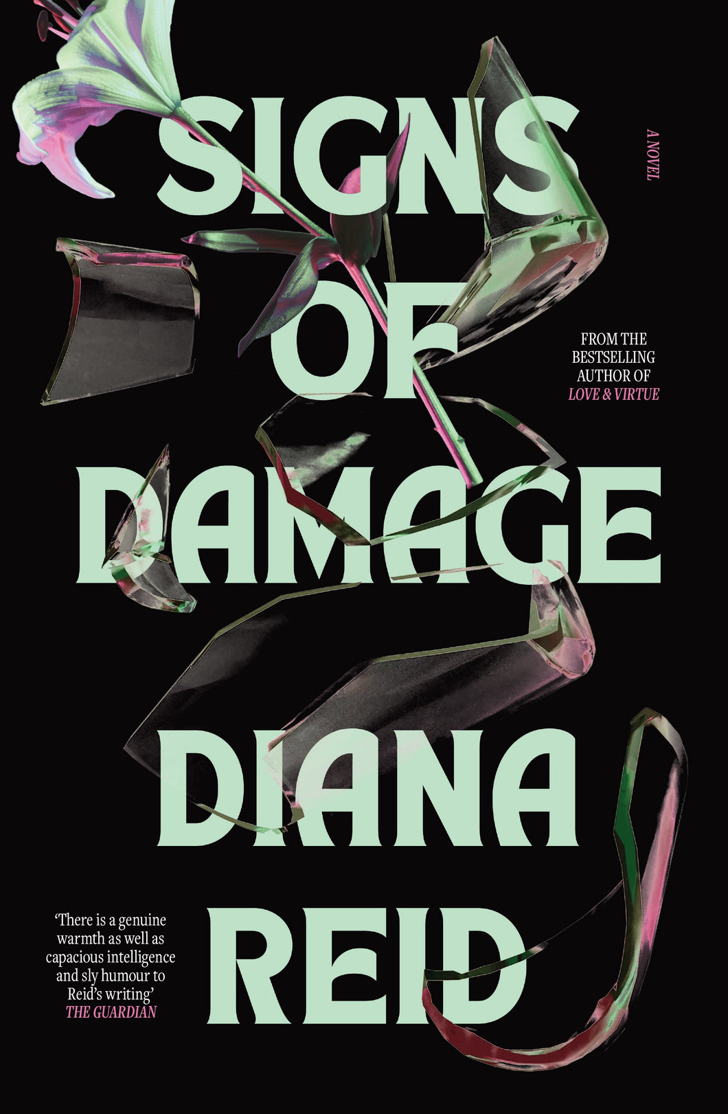 PRE-ORDER: Signs of Damage - Diana Reid