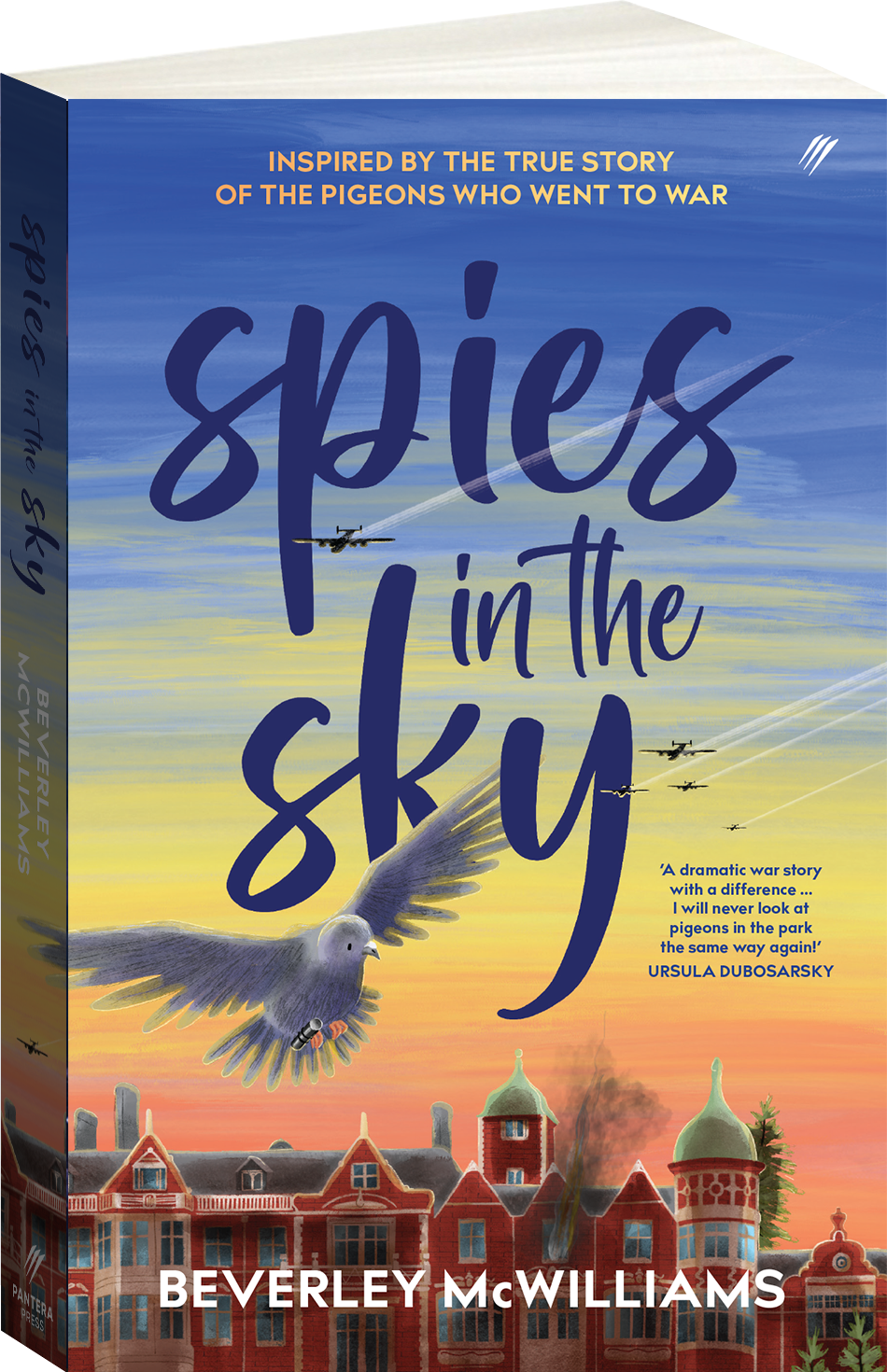 Spies in the Sky - Beverley McWilliams