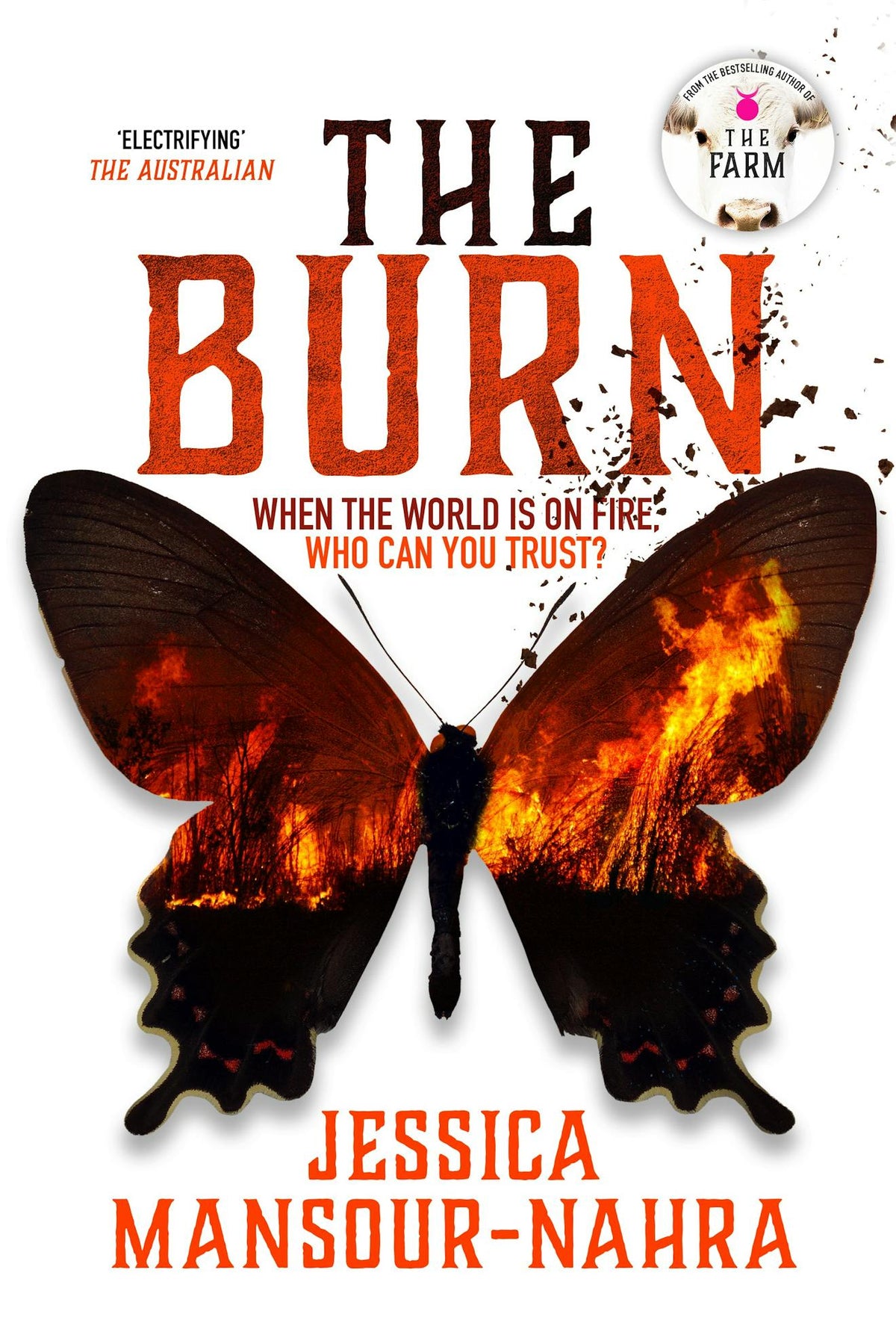 The Burn - Jessica Mansour-Nahra