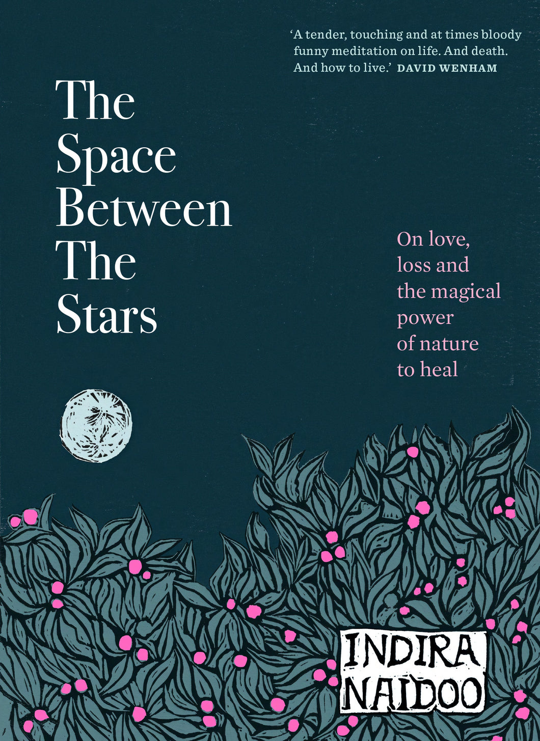 The Space Between The Stars - Indira Naidoo