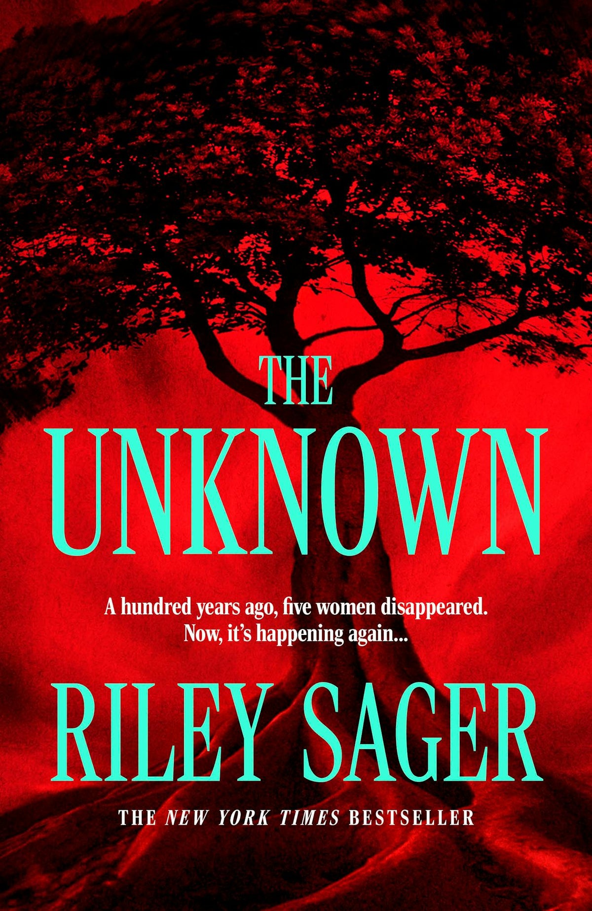 The Unknown - Riley Sager