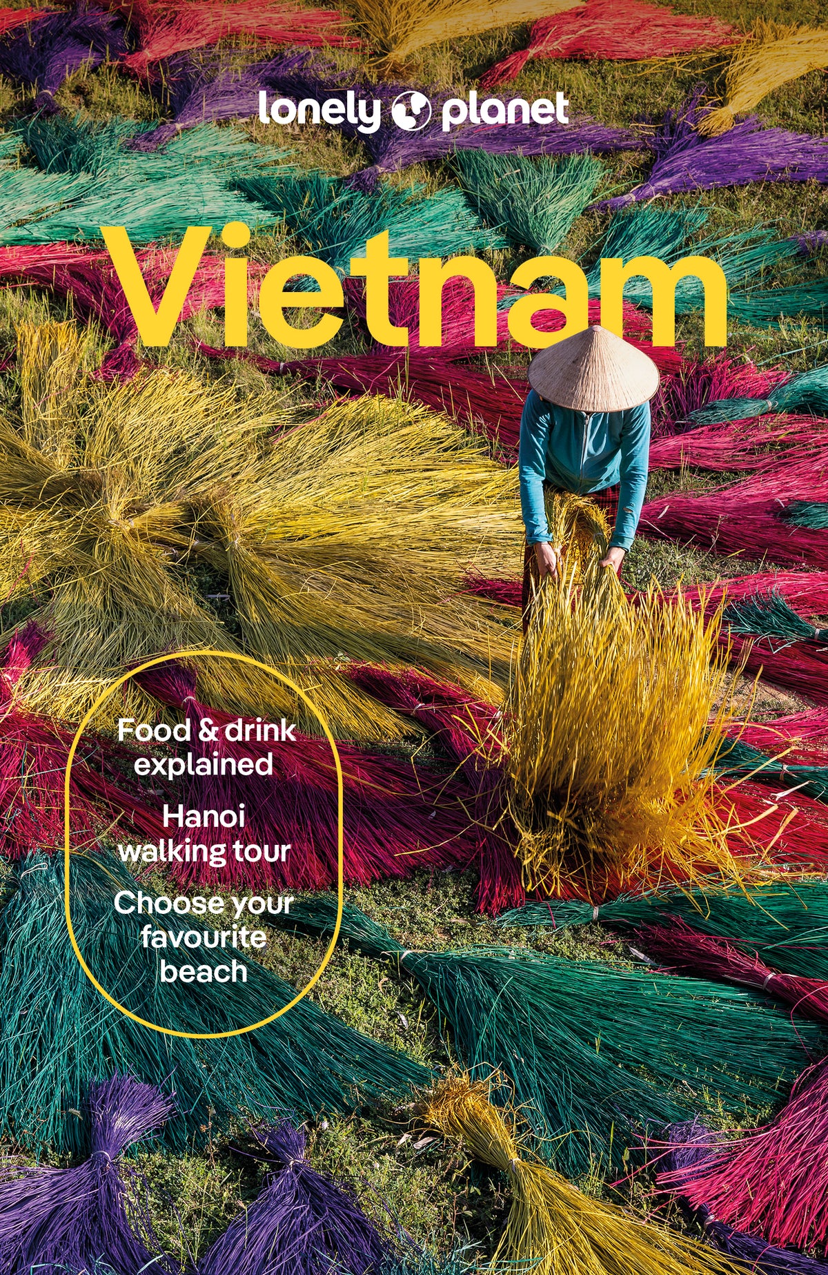Vietnam 17 - Lonely Planet