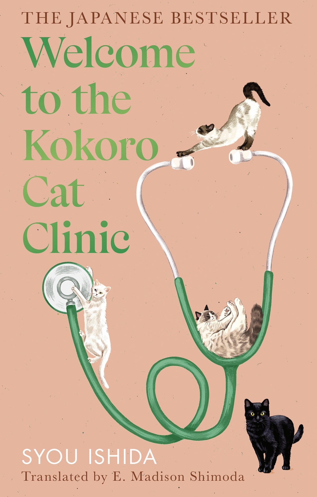 Welcome to the Kokoro Cat Clinic - Syou Ishida