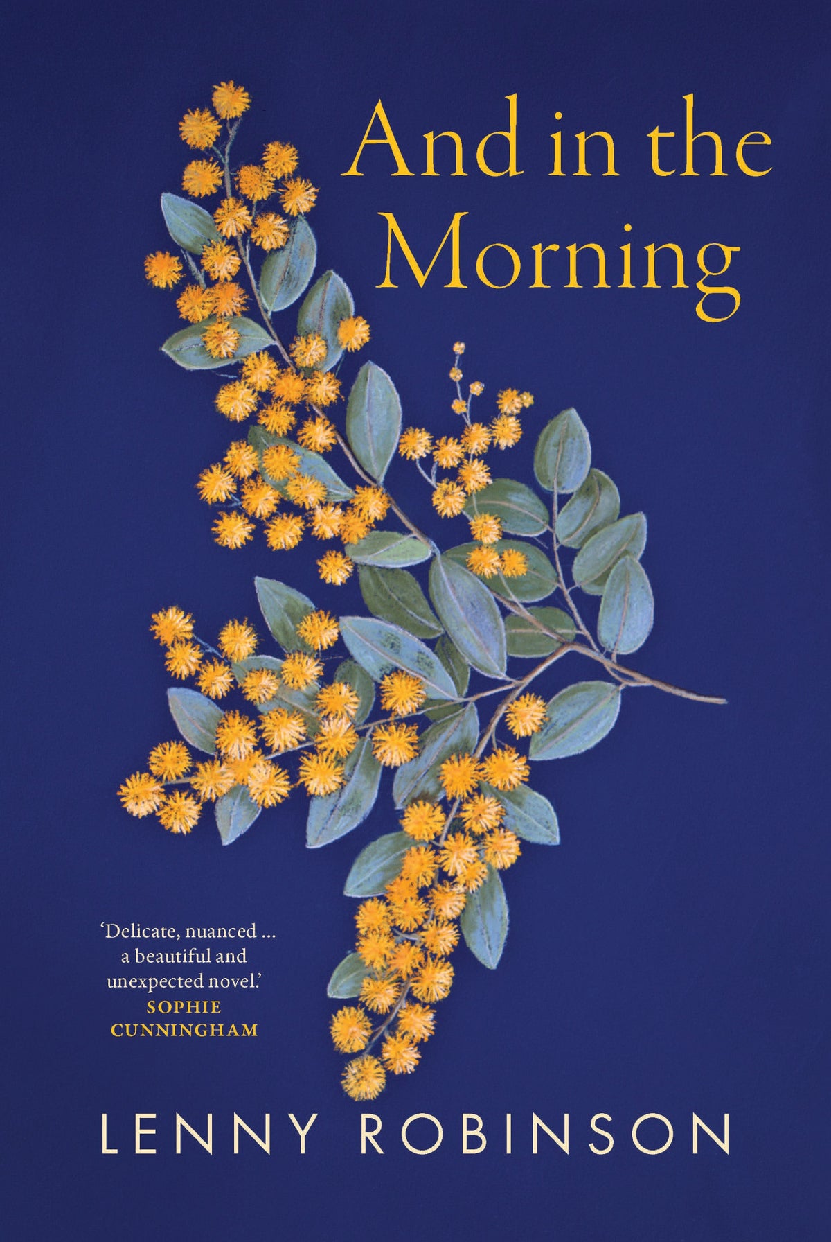 And in the Morning - Lenny Robinson