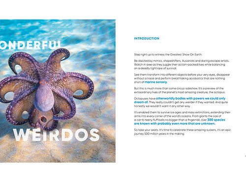 Octopuses: Underwater Wonders - Sheree Maris