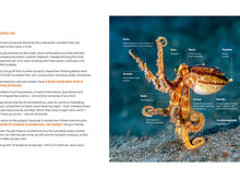 Load image into Gallery viewer, Octopuses: Underwater Wonders - Sheree Maris
