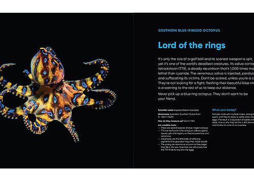 Octopuses: Underwater Wonders - Sheree Maris