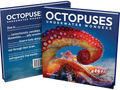 Octopuses: Underwater Wonders - Sheree Maris