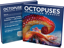 Load image into Gallery viewer, Octopuses: Underwater Wonders - Sheree Maris
