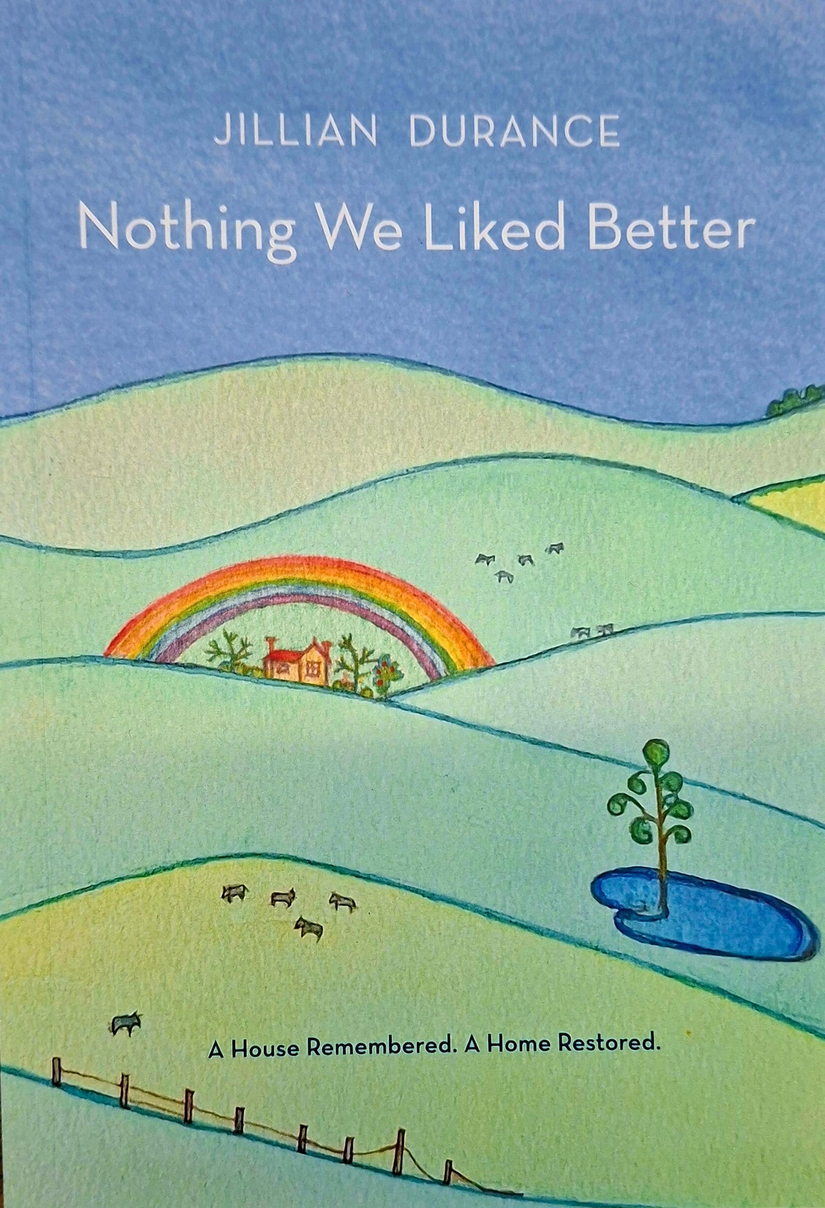 Nothing We Liked Better - Jillian Durance