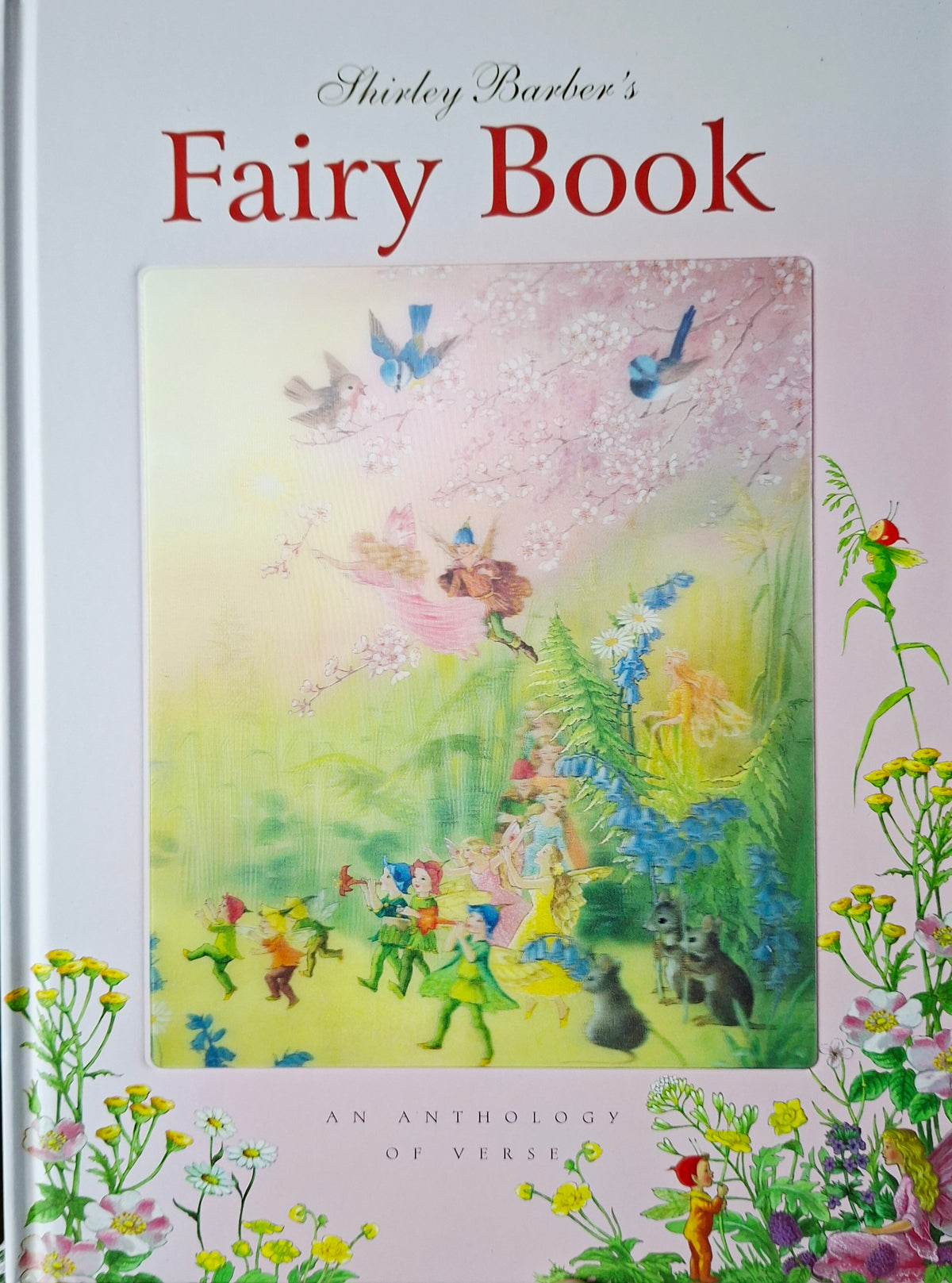 Fairy Book - Shirley Barber