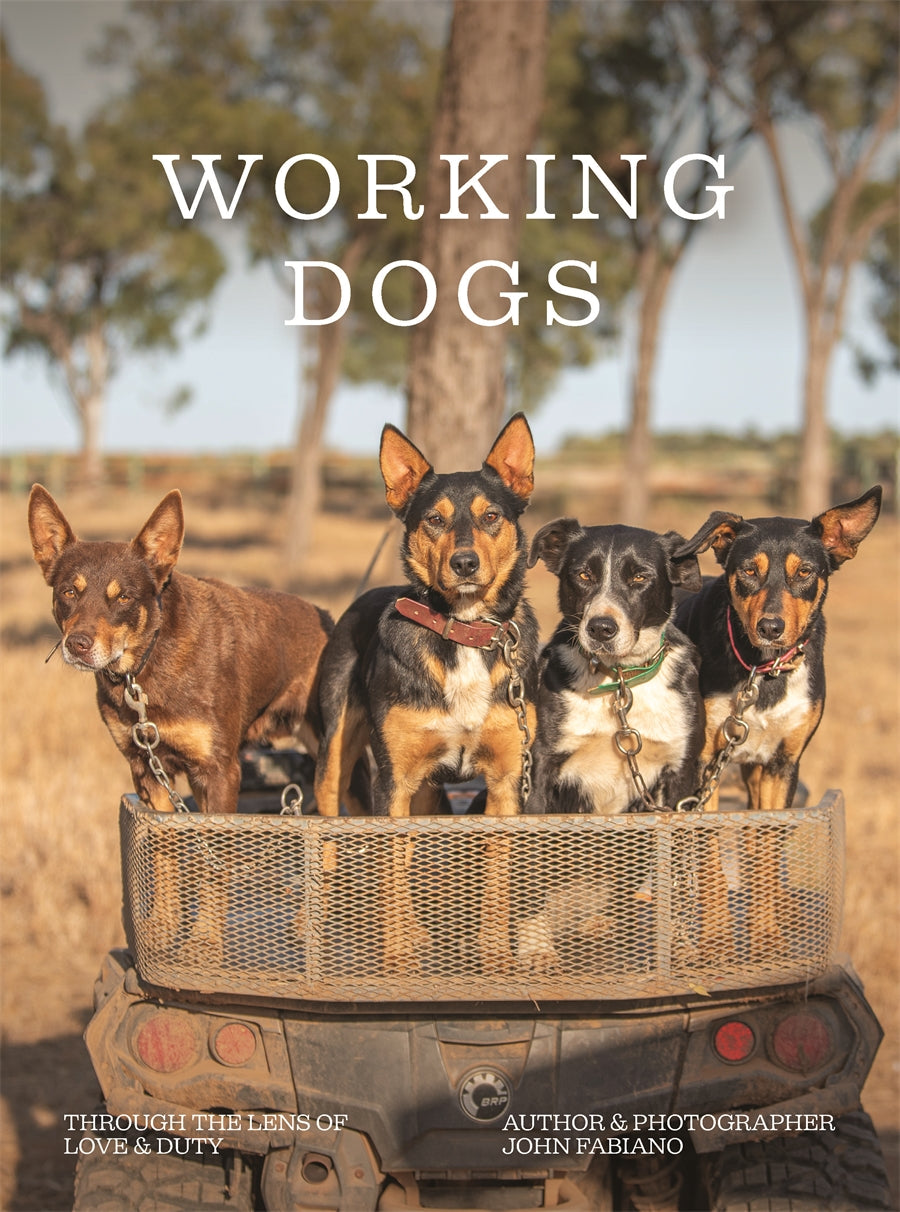 Working Dogs - John Fabiano