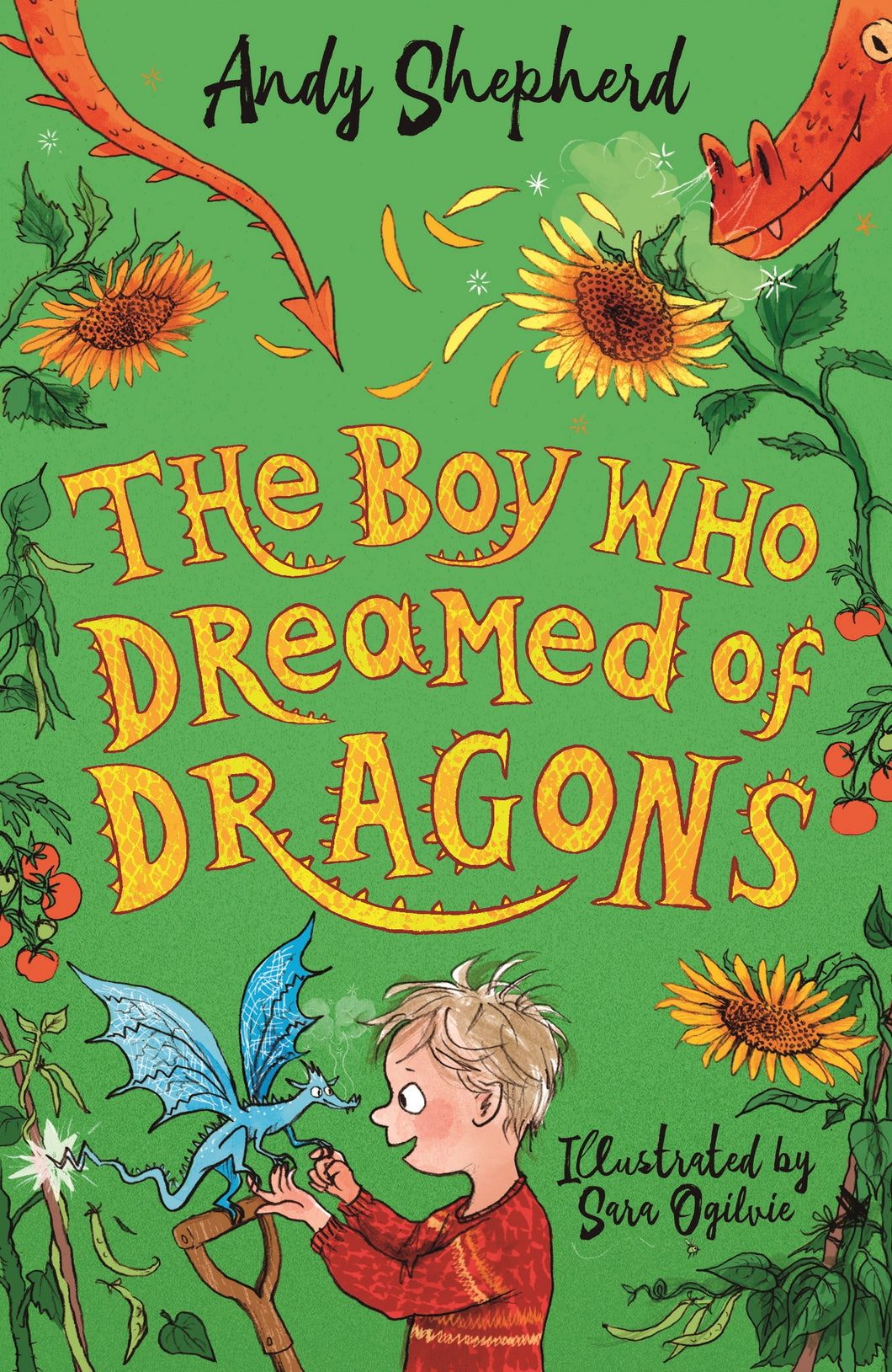 The Boy Who Dreamed Of Dragons - Andy Shepherd